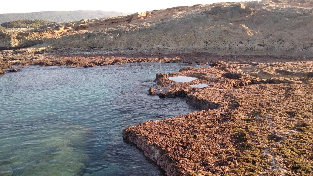 Achziv Beach אכזיב חף Liman Exterior foto