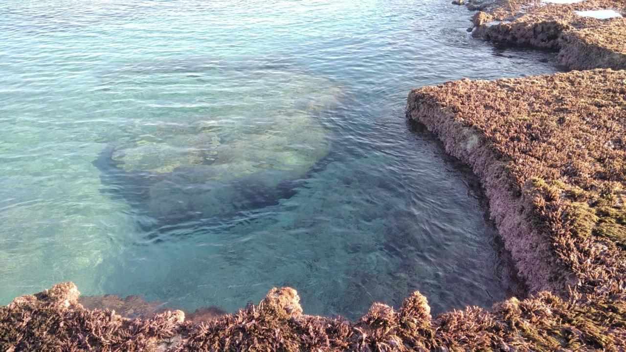 Achziv Beach אכזיב חף Liman Exterior foto